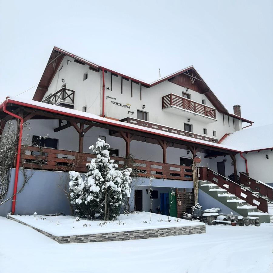 Panorama Cehu Silvaniei Εξωτερικό φωτογραφία