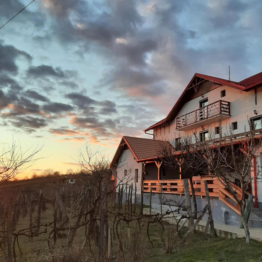 Panorama Cehu Silvaniei Εξωτερικό φωτογραφία