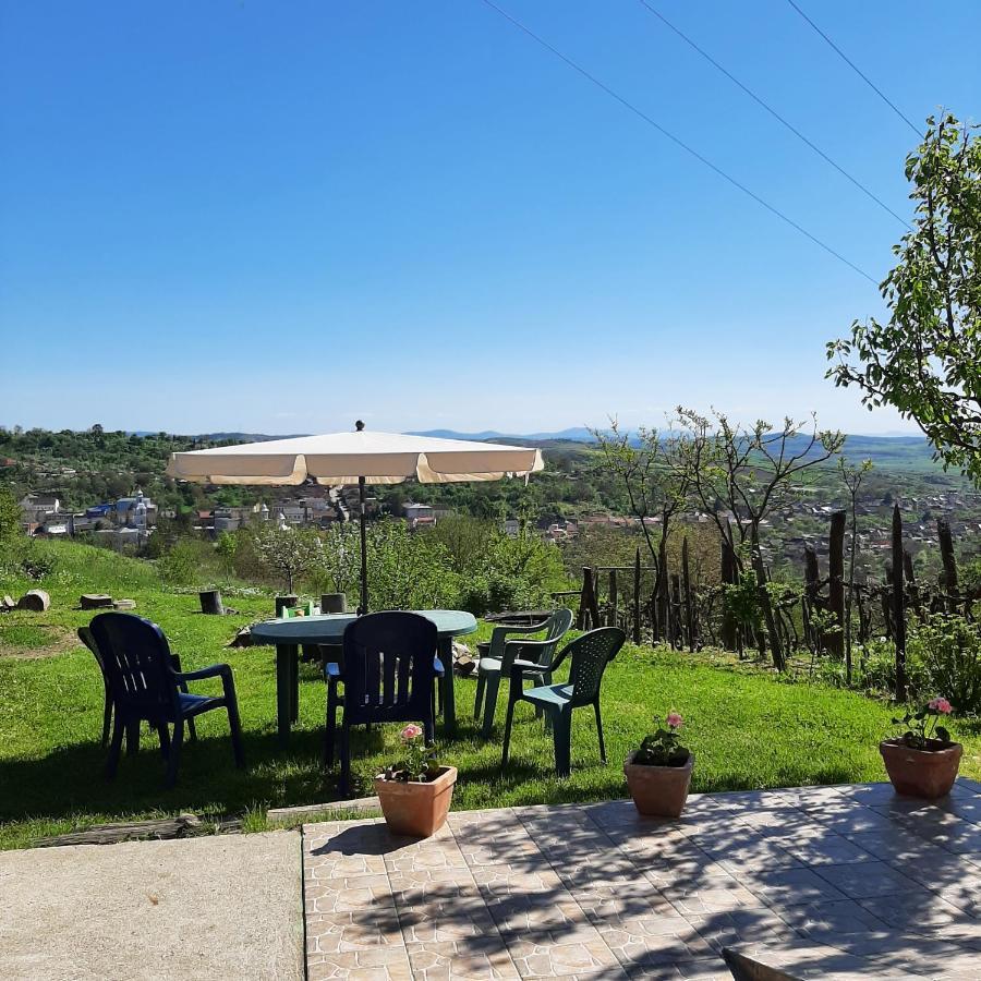 Panorama Cehu Silvaniei Εξωτερικό φωτογραφία