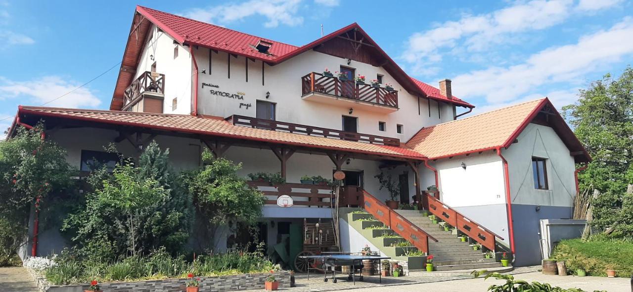 Panorama Cehu Silvaniei Εξωτερικό φωτογραφία