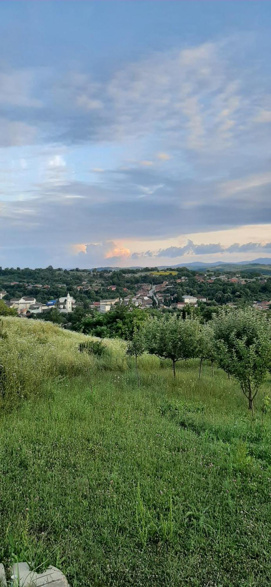 Panorama Cehu Silvaniei Δωμάτιο φωτογραφία