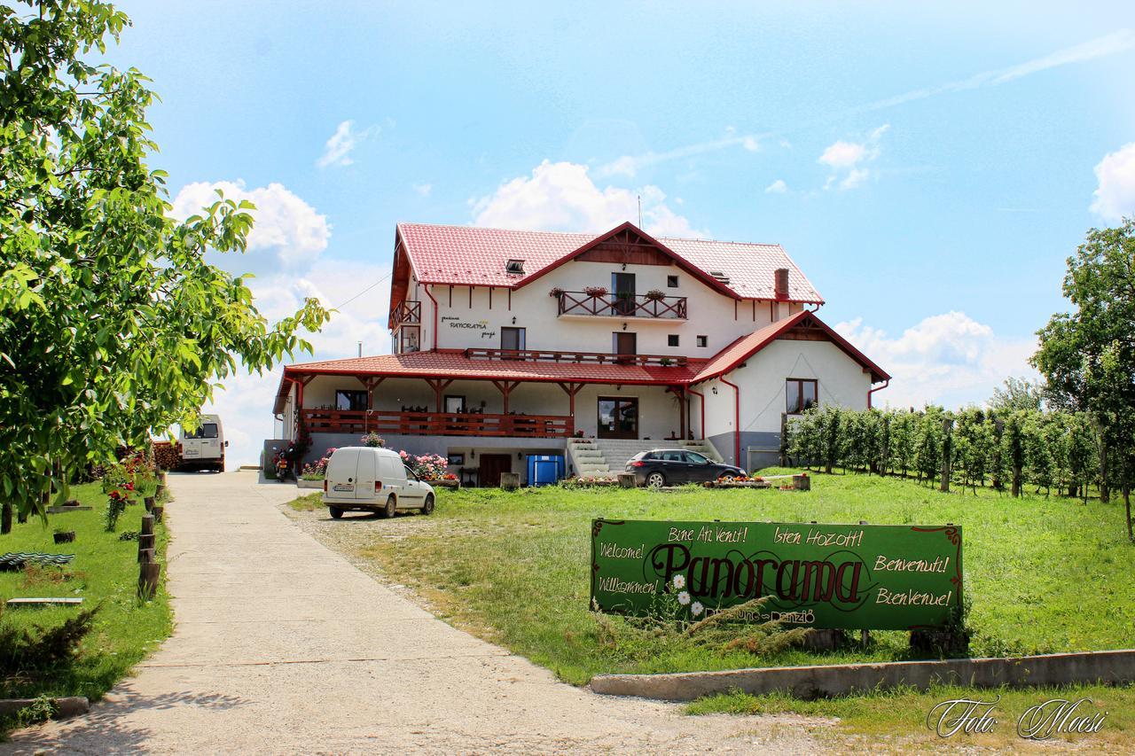 Panorama Cehu Silvaniei Εξωτερικό φωτογραφία